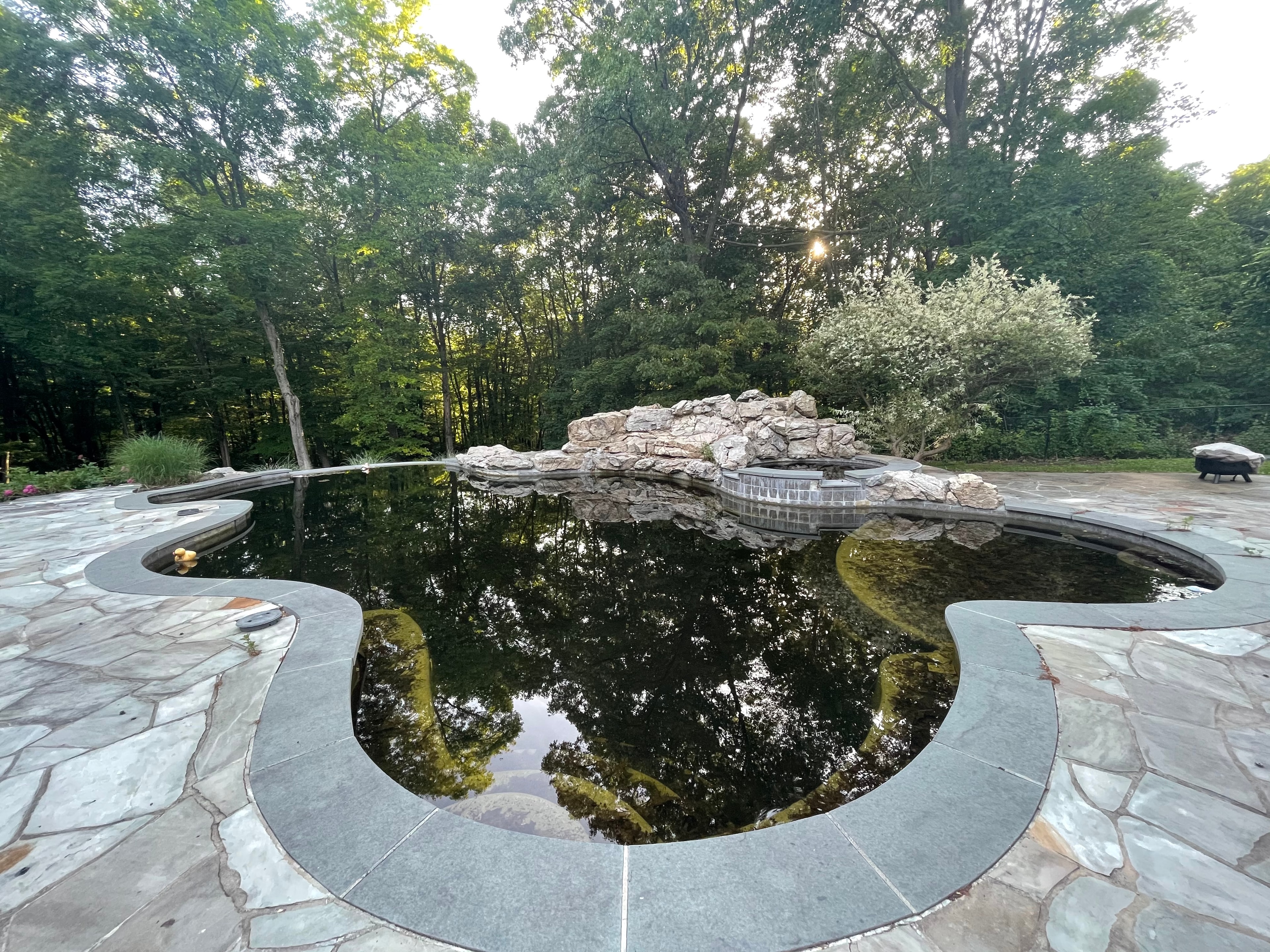 Pool before renovation — dark murky water